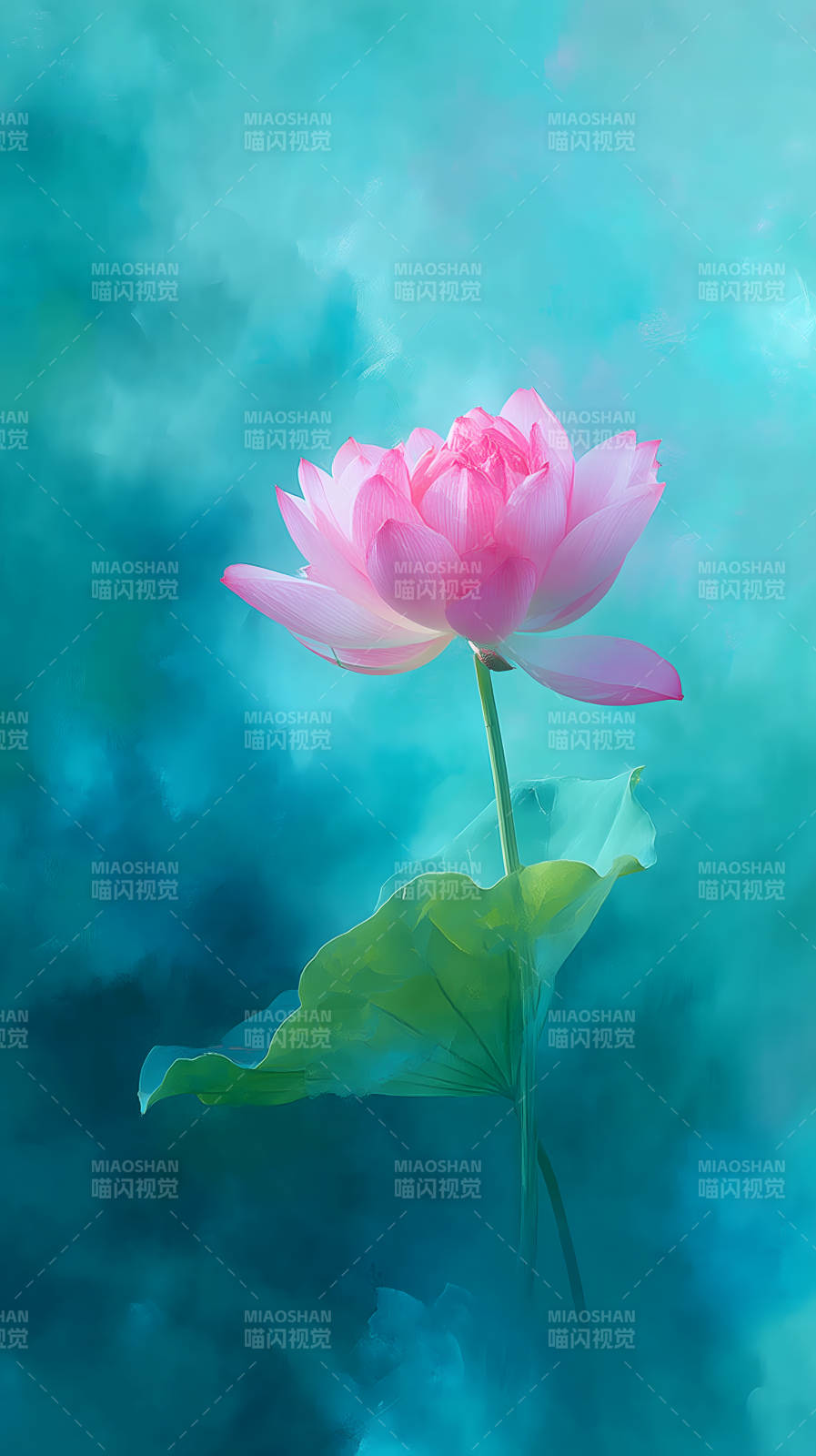 粉色莲花水中绽放图片