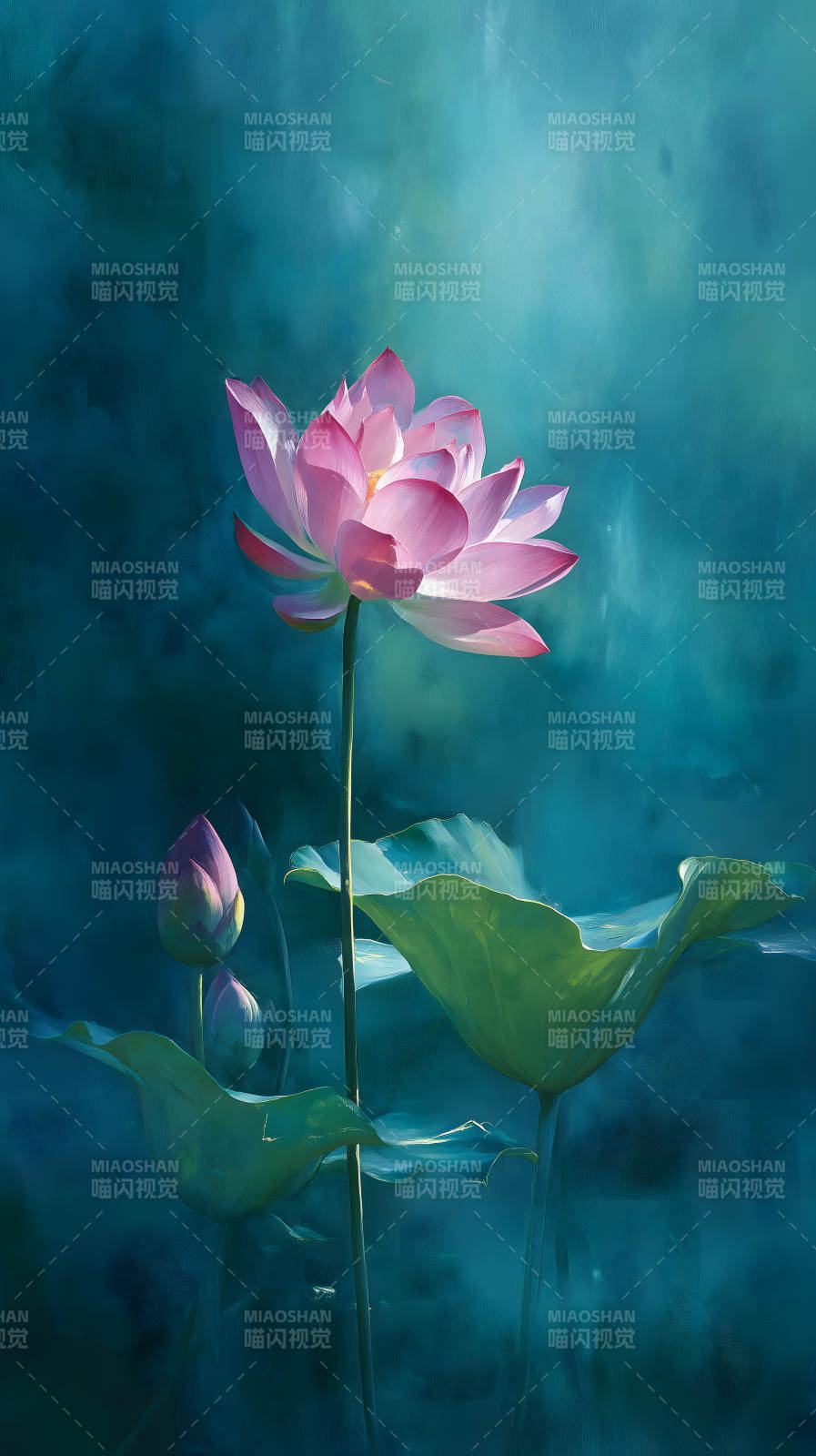 粉色莲花绽放水中图片