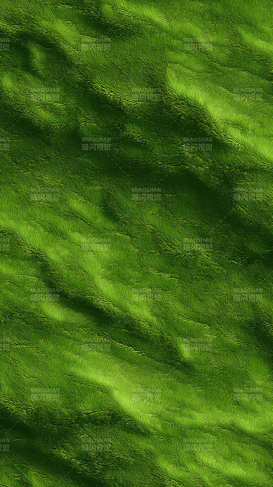 翠绿草地纹理丰富图片