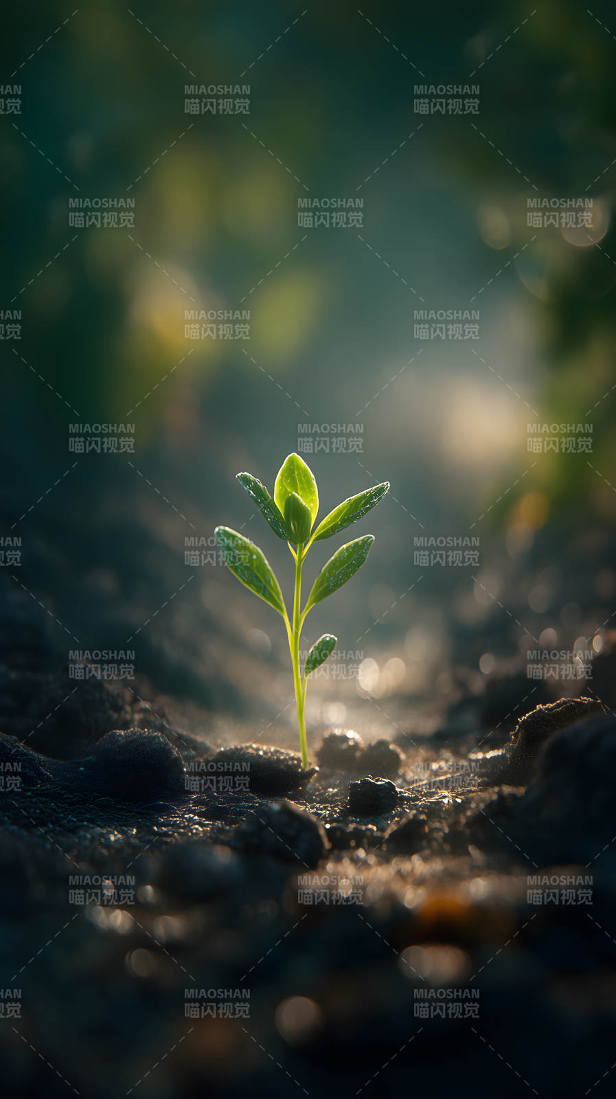 嫩芽破土生机勃勃图片