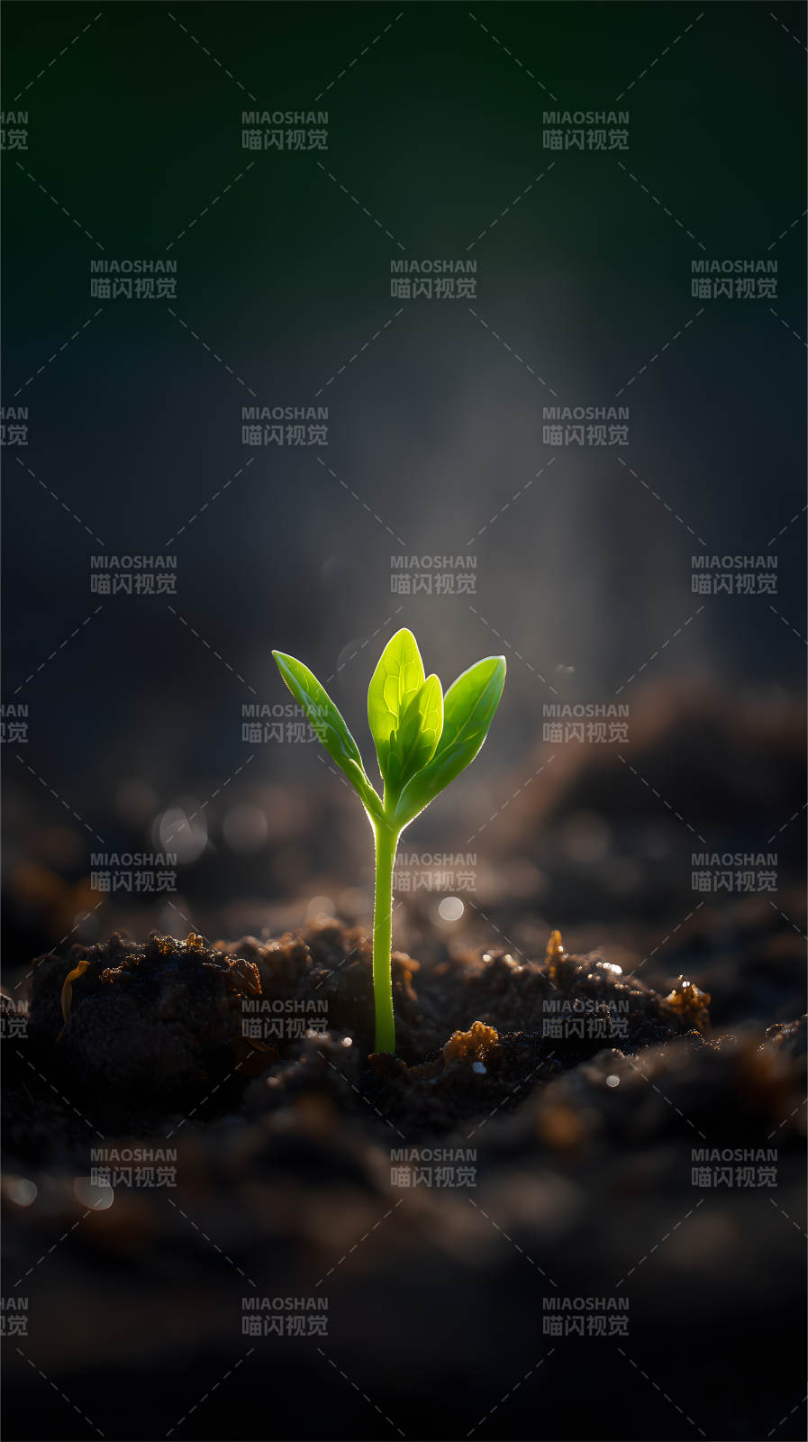 破土而出生命力图片