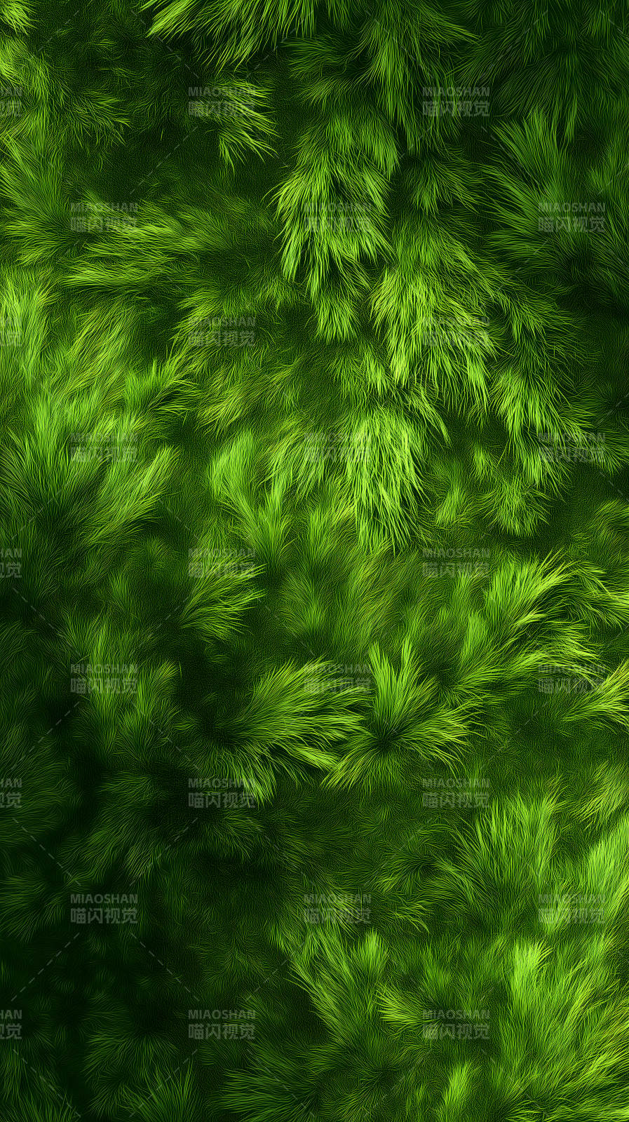 茂密绿植特写图片