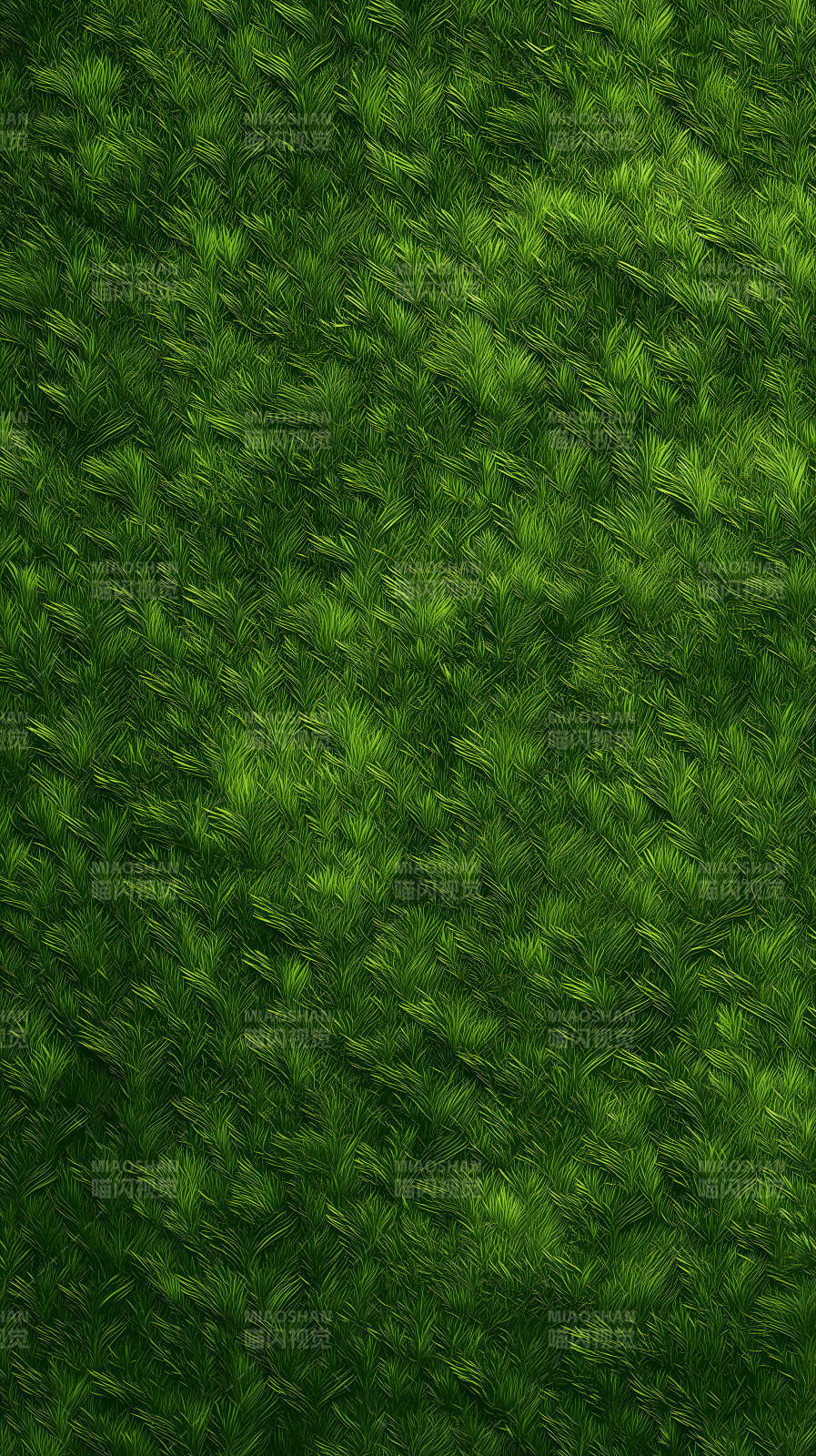 茂密绿草纹理细节图片