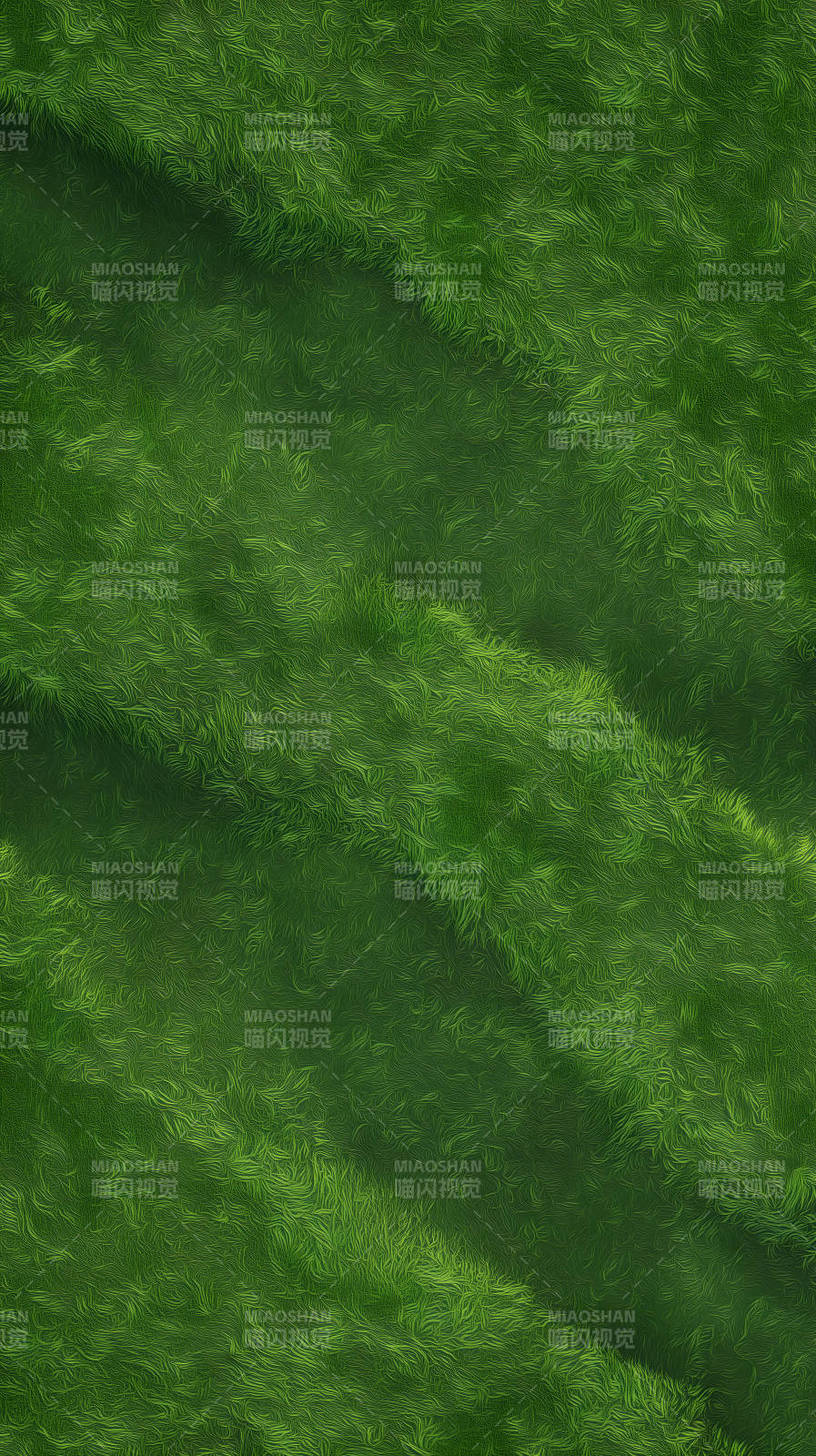 绿草如茵的纹理图片
