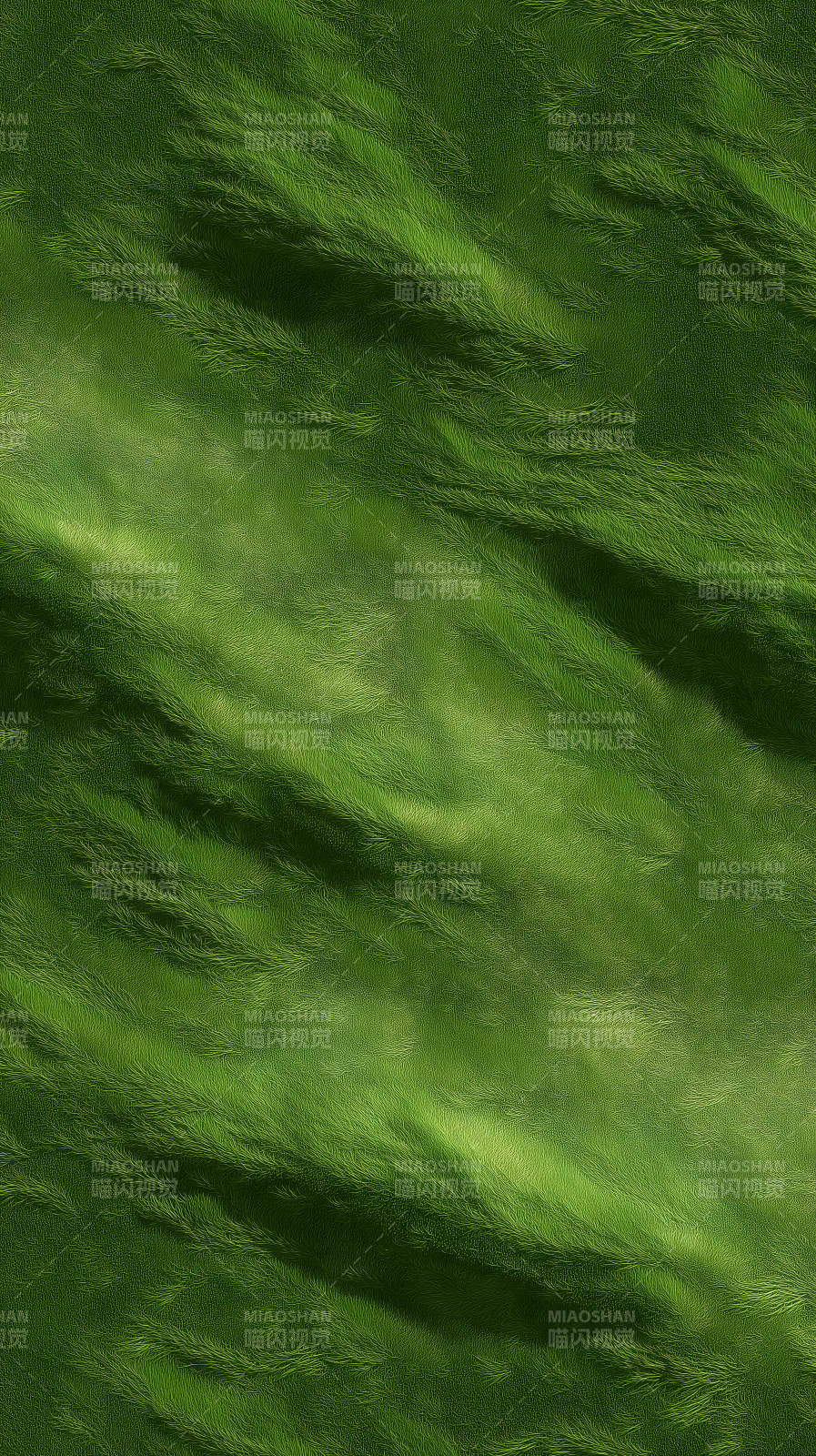 绿草地上的光影图片