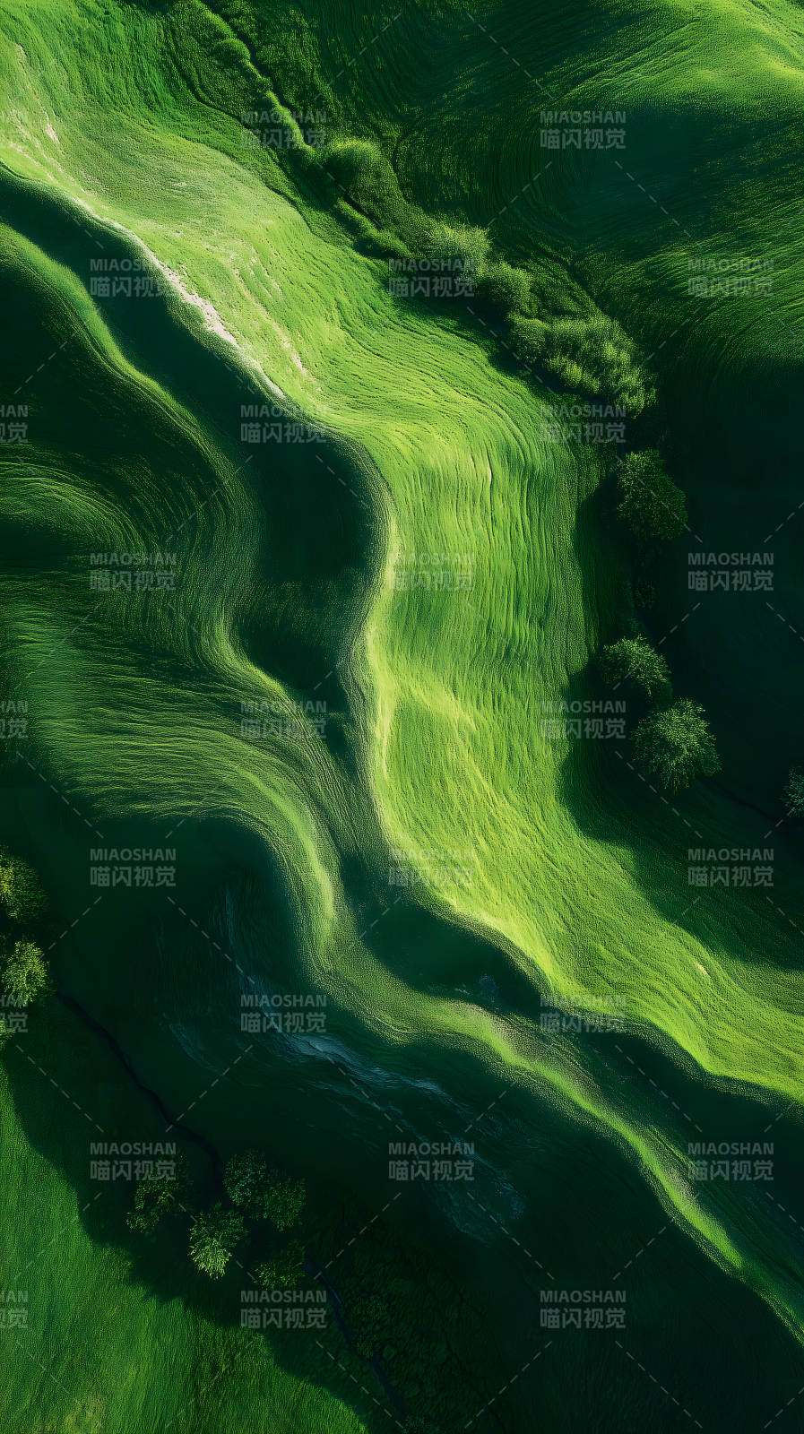 绿野仙踪般迷人田野图片