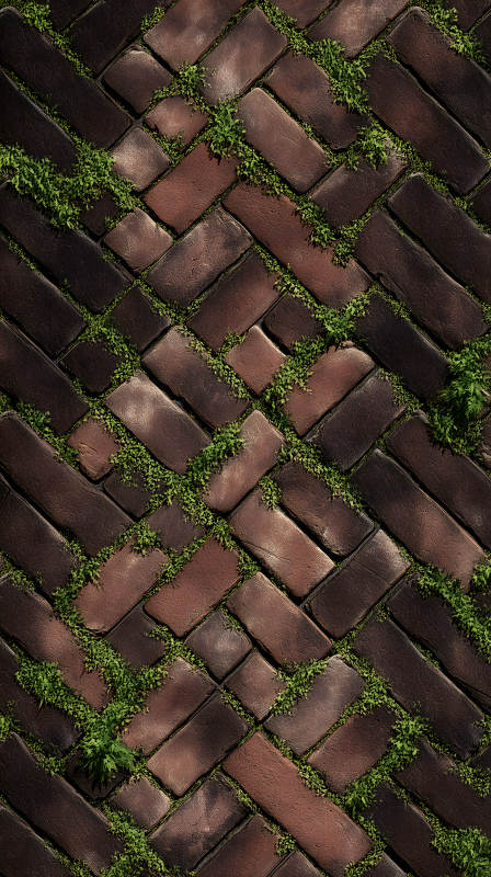 砖石小路植被生长图片