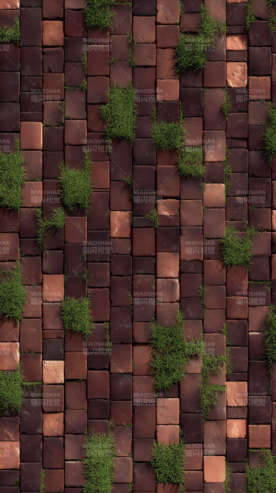 砖块与绿植的纹理图片