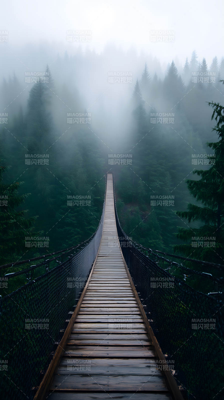 雾中吊桥森林深处图片