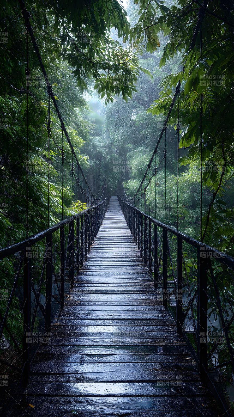雨中吊桥森林深处图片