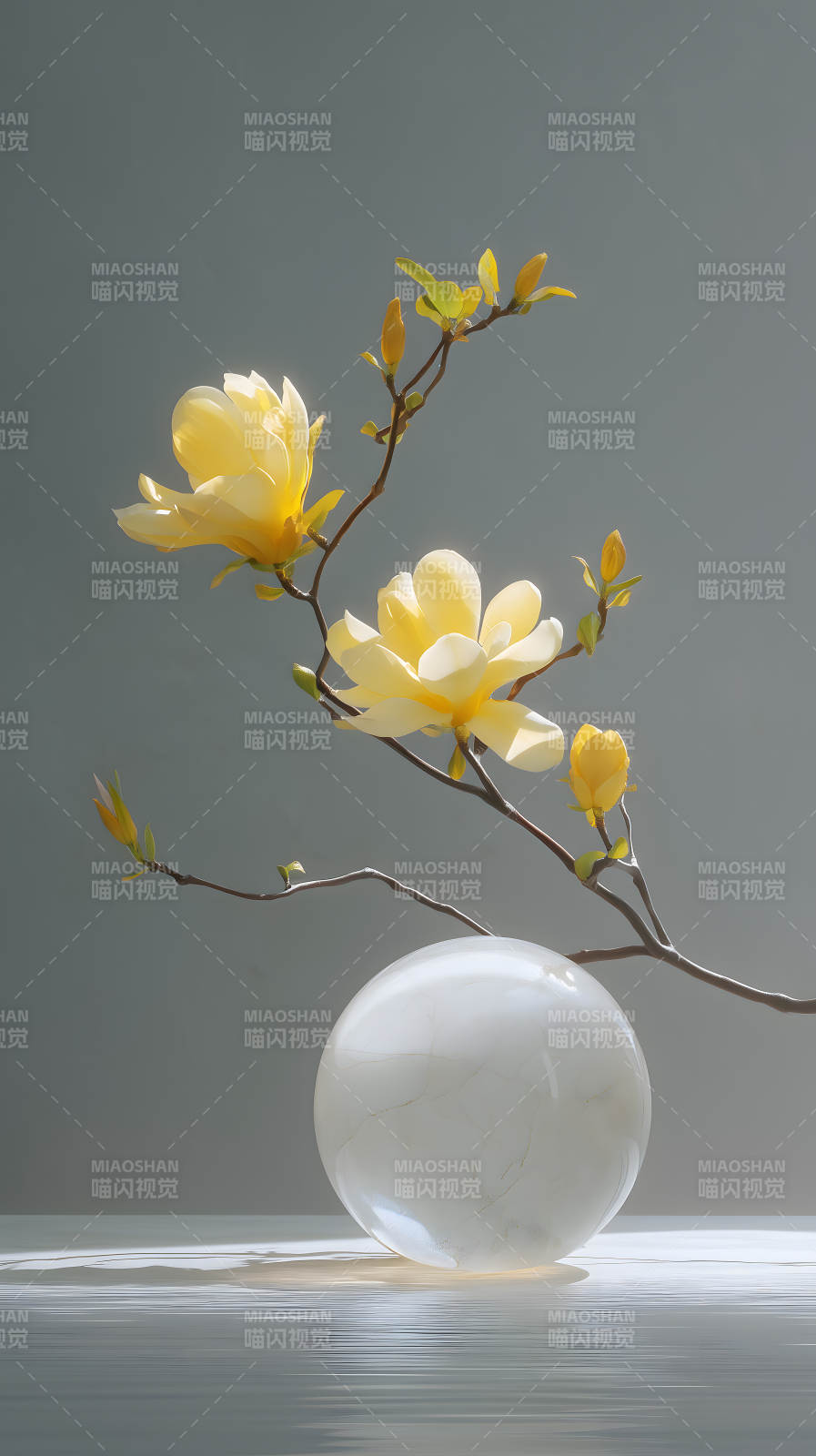 黄花白球静物图片