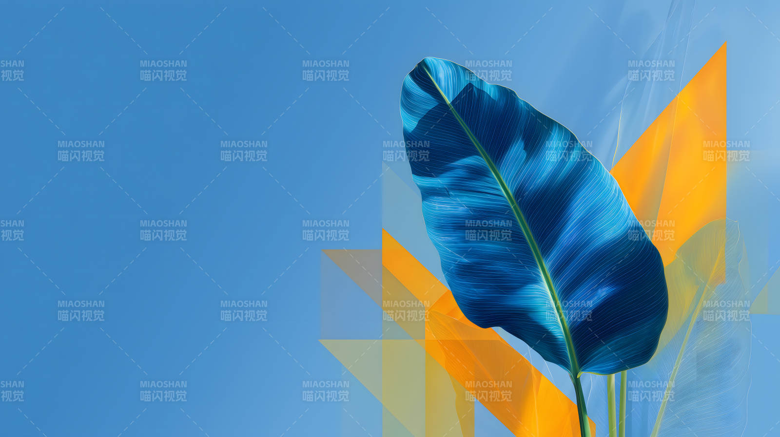 蓝色叶子与几何图片