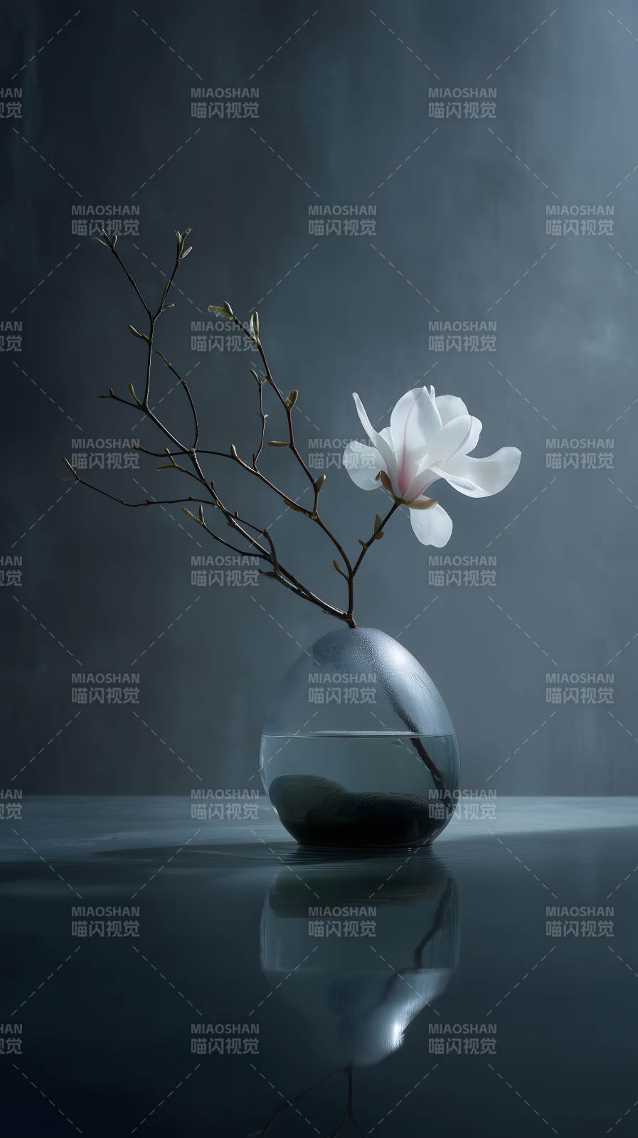 静谧花卉绽放图片