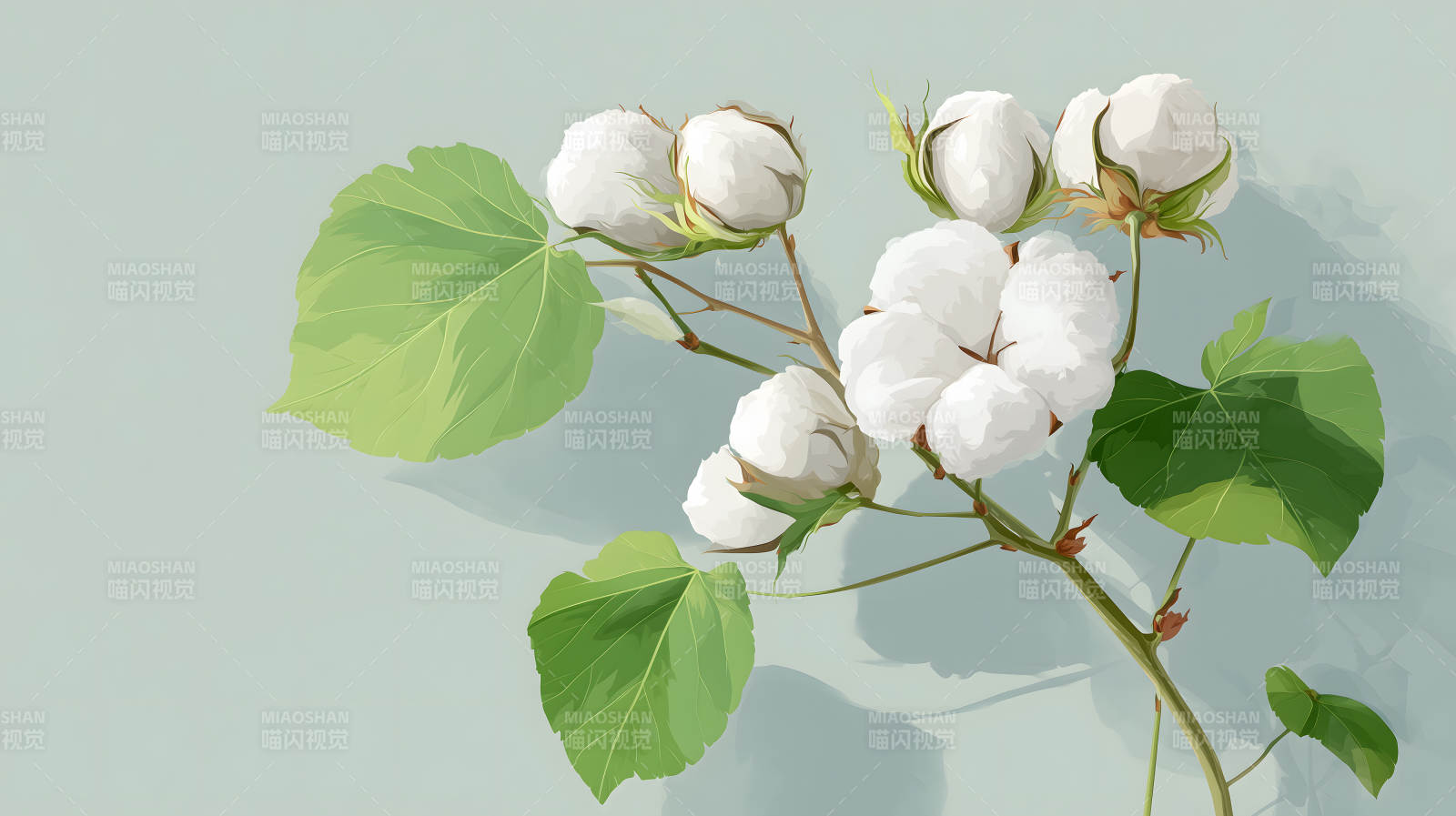 棉花枝条水彩画风格图片