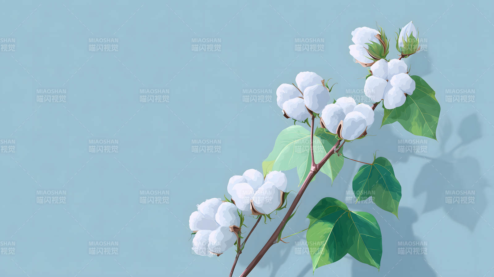 棉花枝叶特写图片