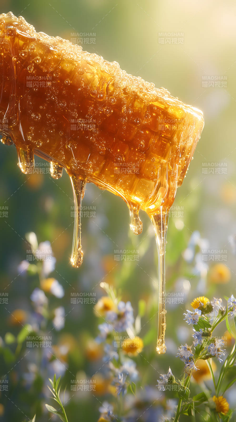 蜂蜜流淌花丛图片