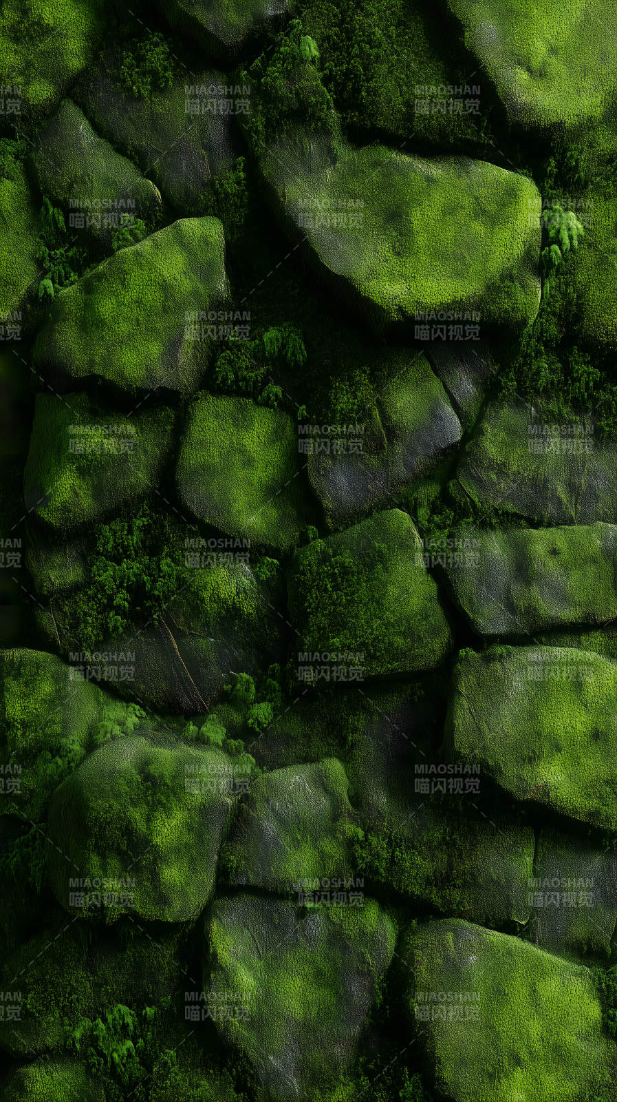 苔藓覆盖的石头墙图片