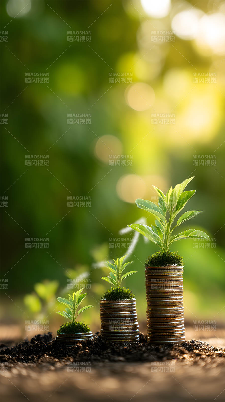 金钱与绿植的生长图片