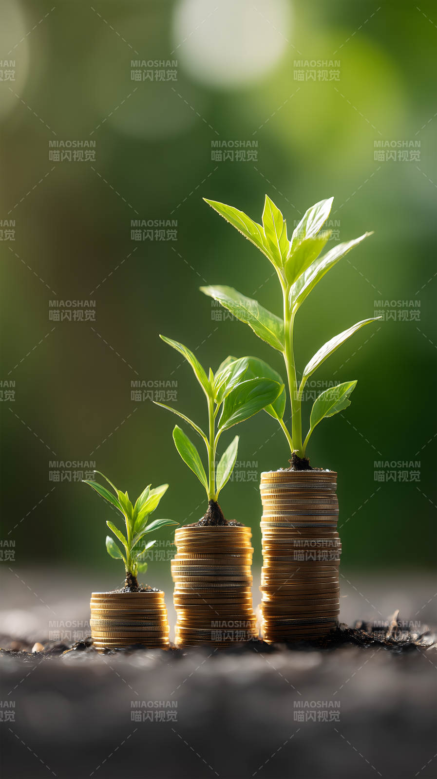 硬币上的绿植生长图片