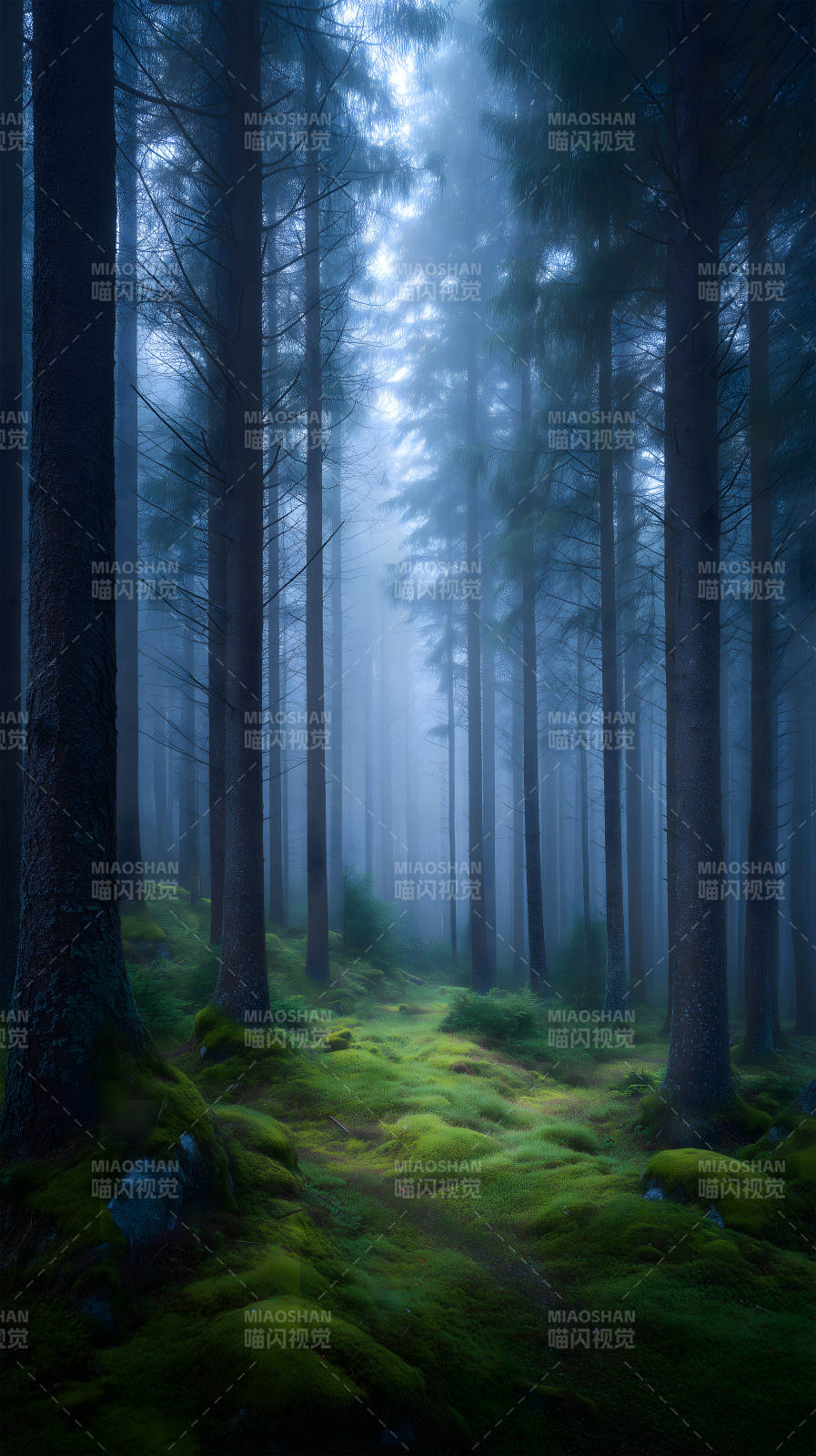 迷雾森林幽静深邃图片