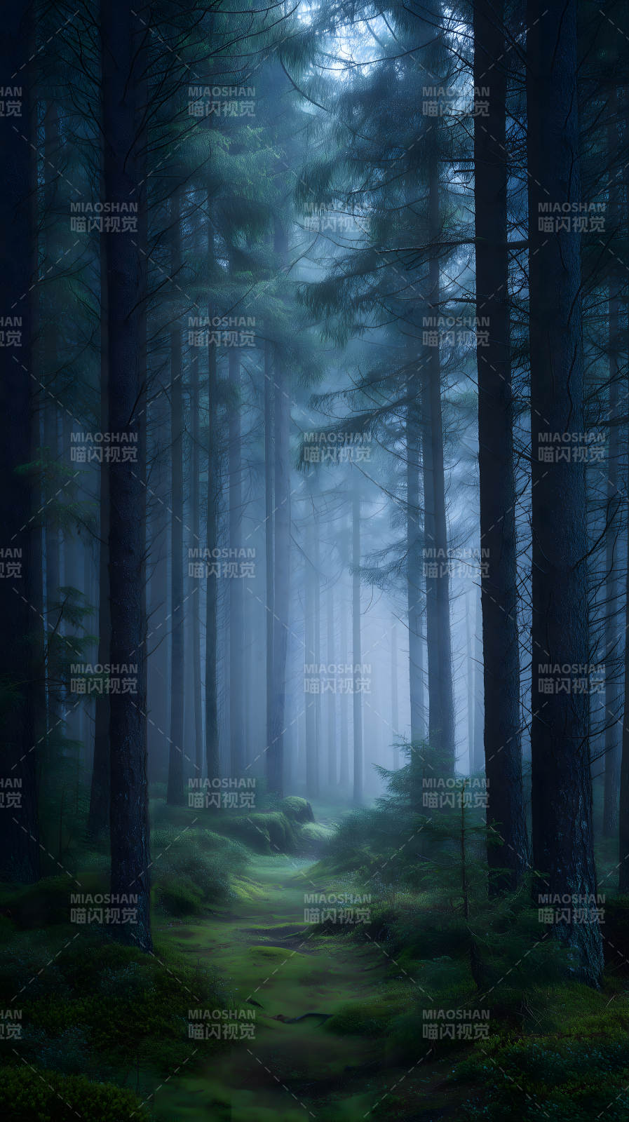 幽暗森林迷雾笼罩图片