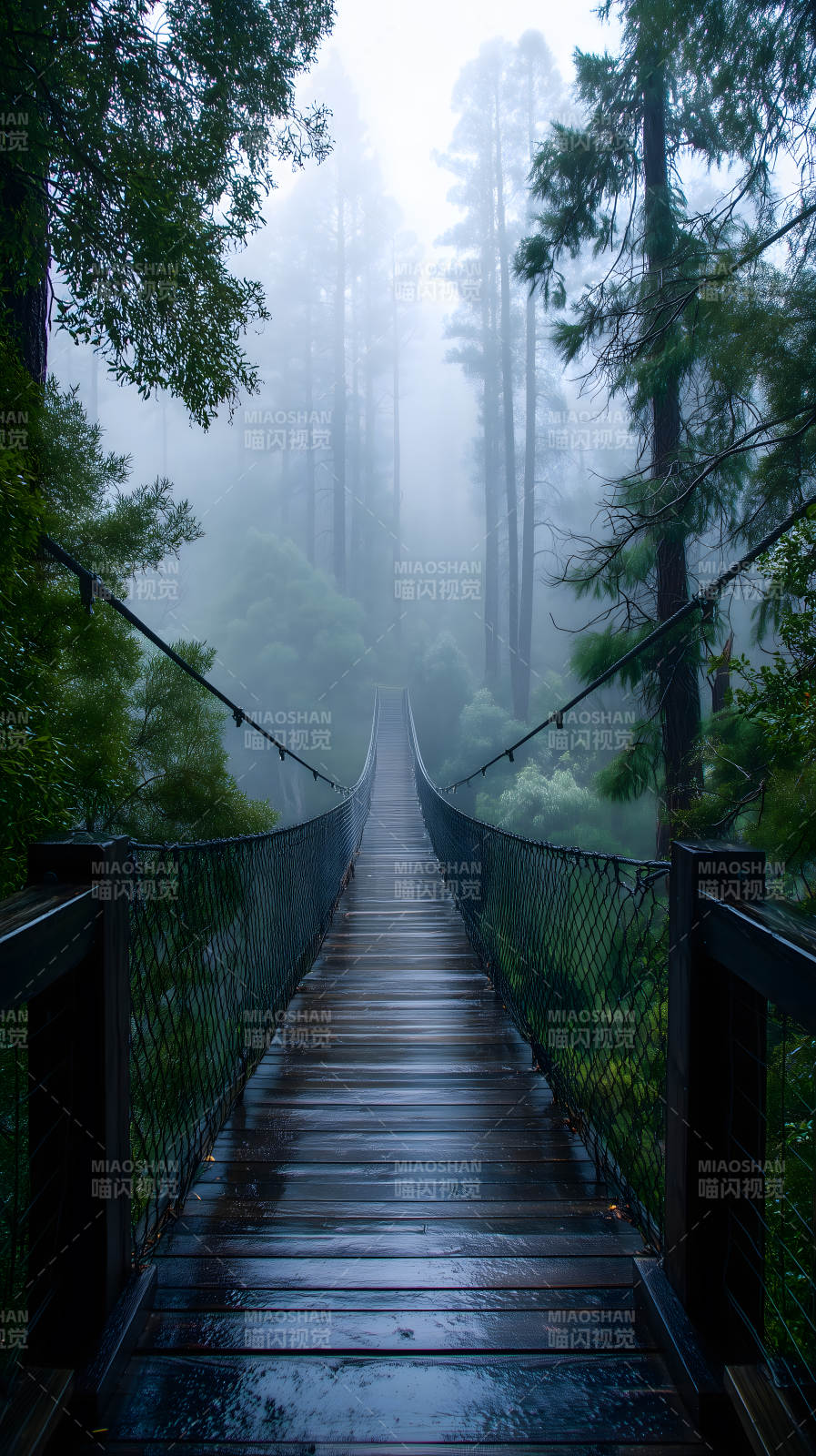 迷雾森林悬索桥图片