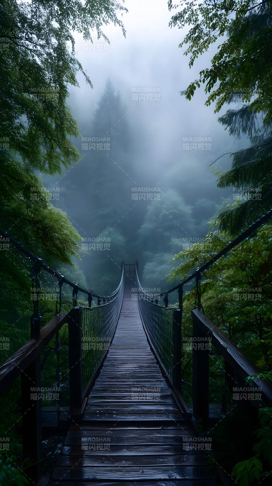 雨中吊桥通往迷雾森林图片