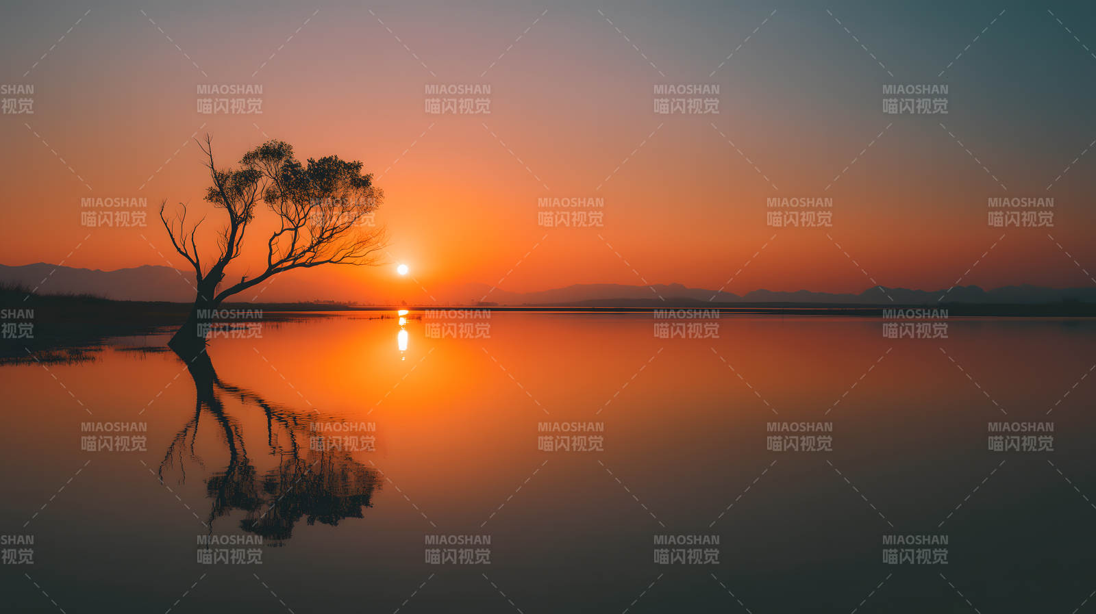 夕阳湖泊树影婆娑图片