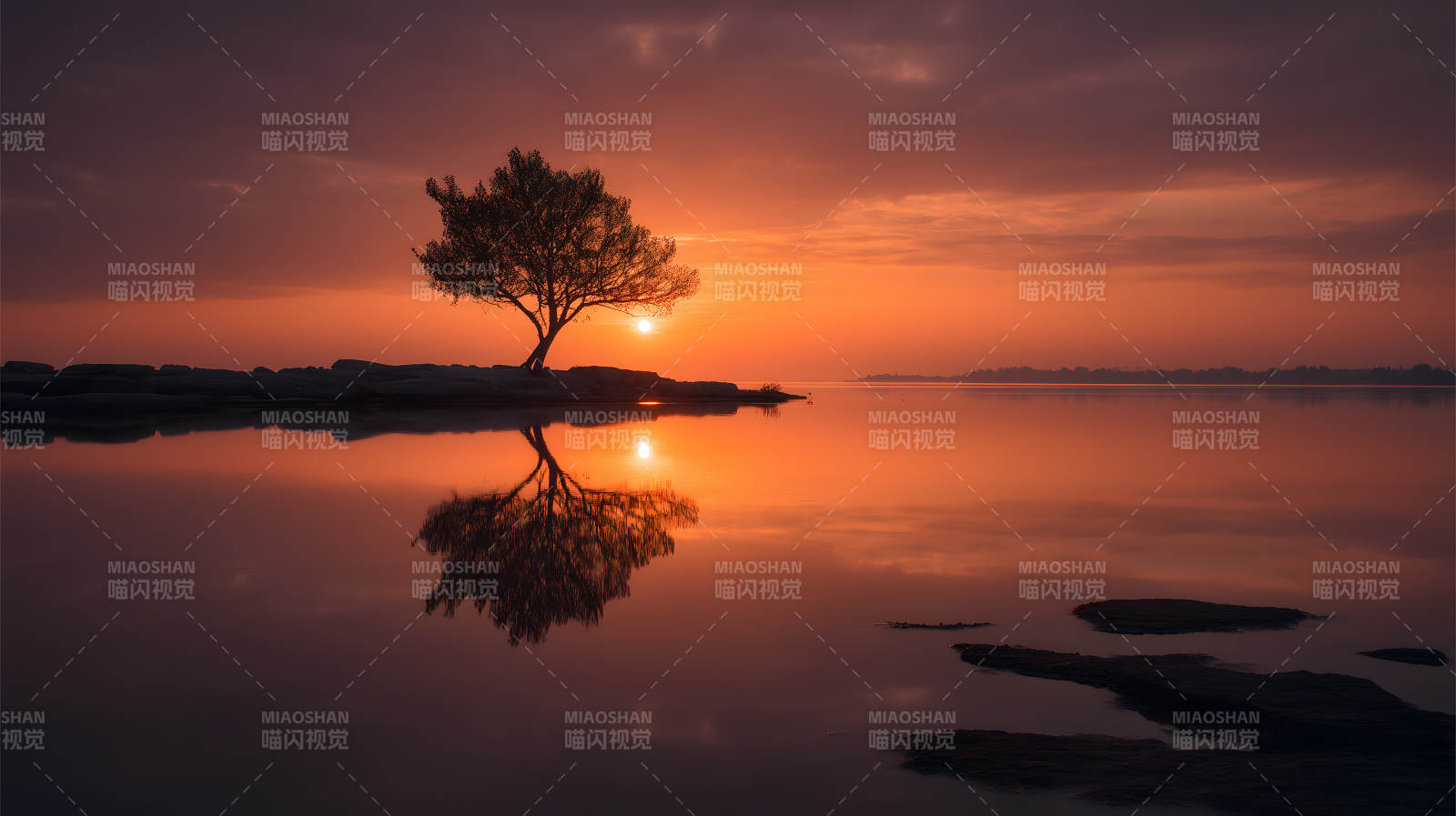 落日孤树湖面倒影图片