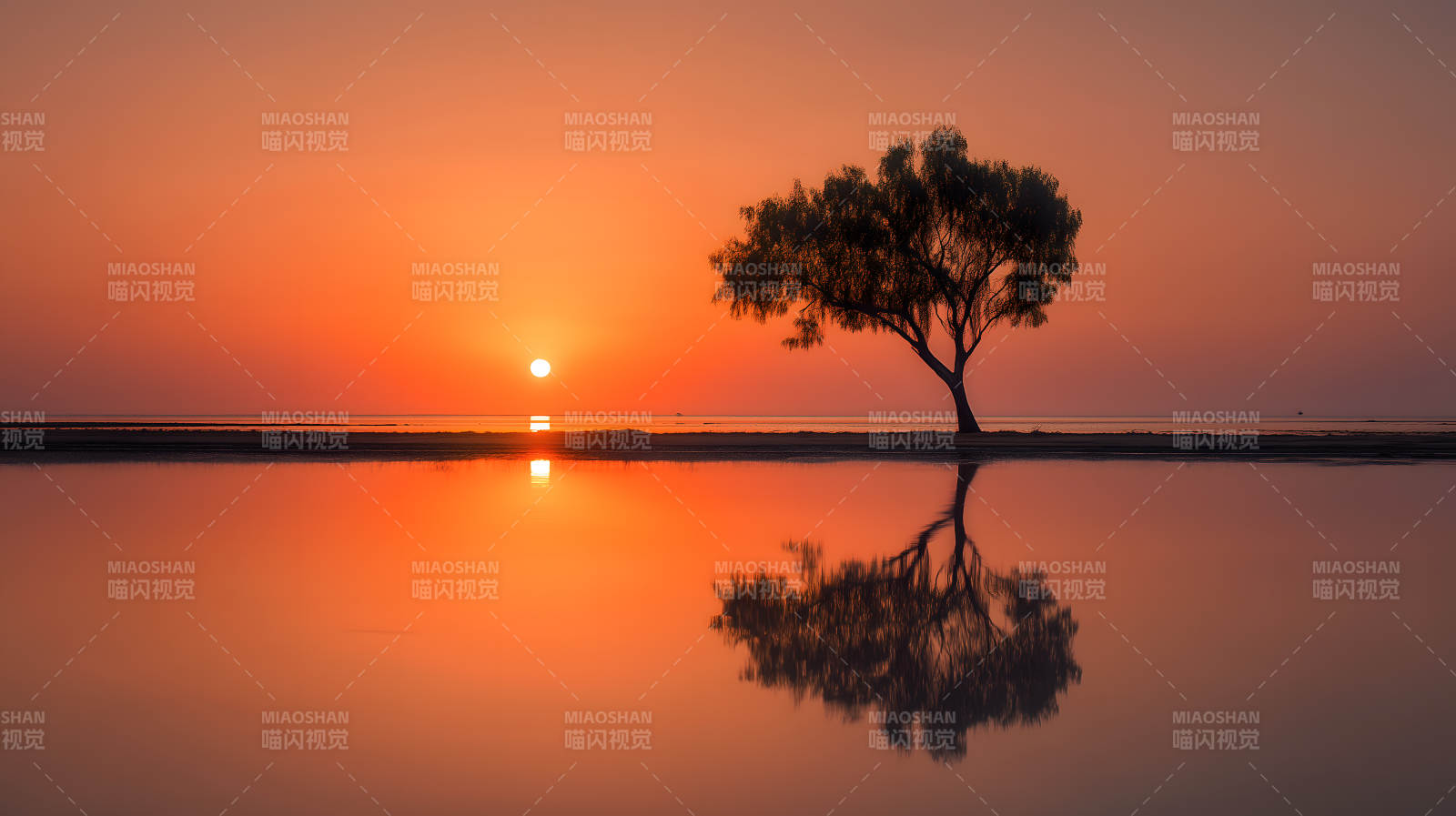 日落下的树影映照图片