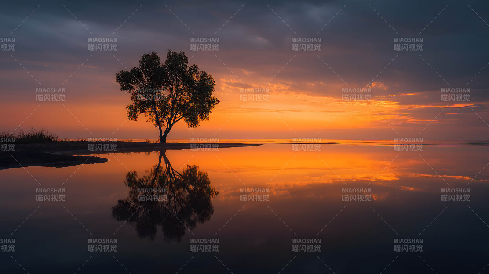 夕阳树影湖面美景图片