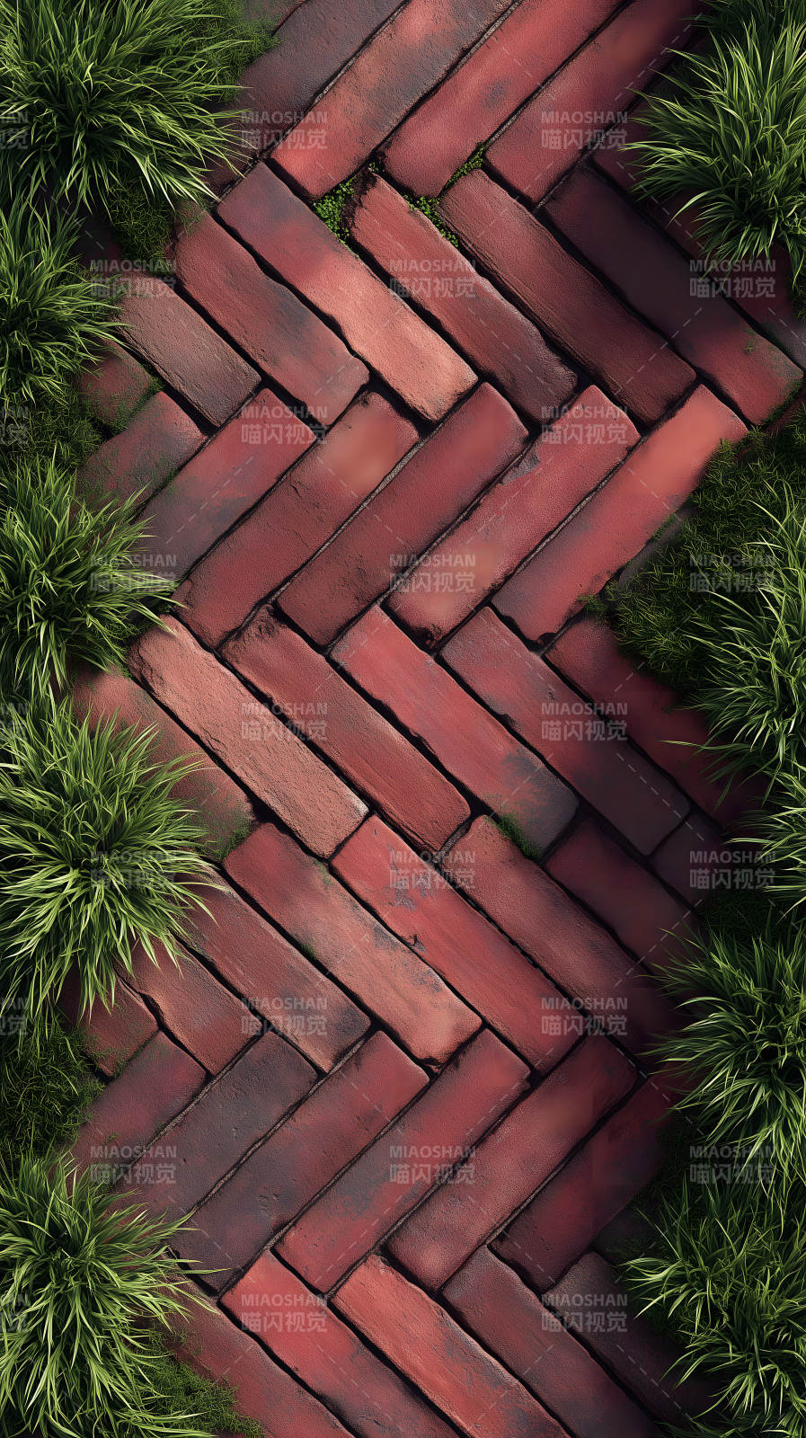 红砖小路与绿植图片