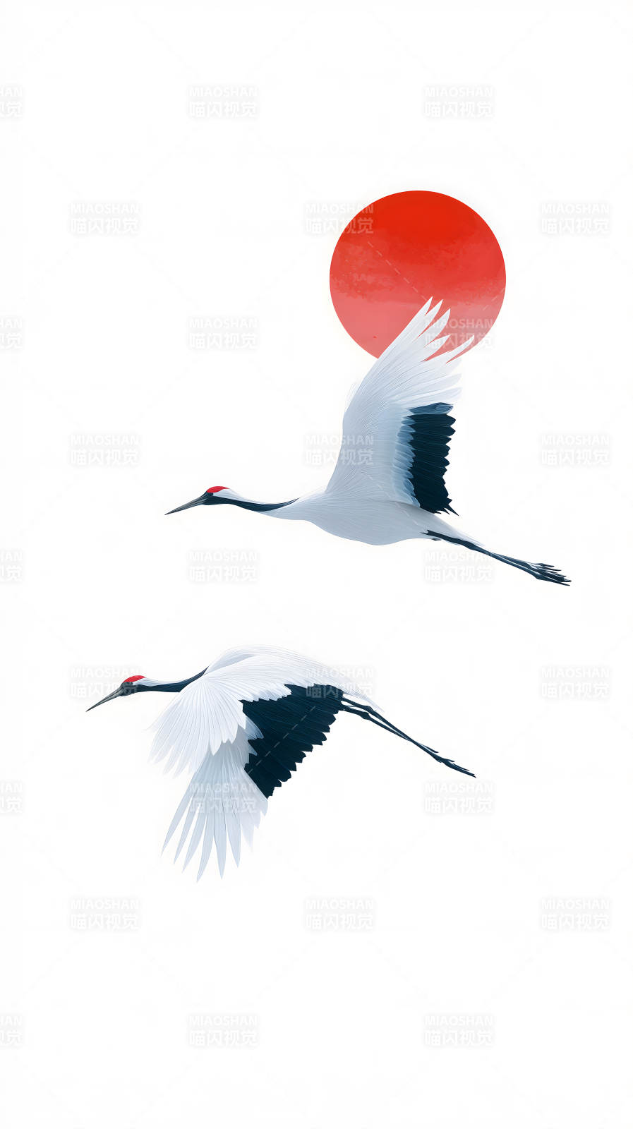 仙鹤飞翔红日图片