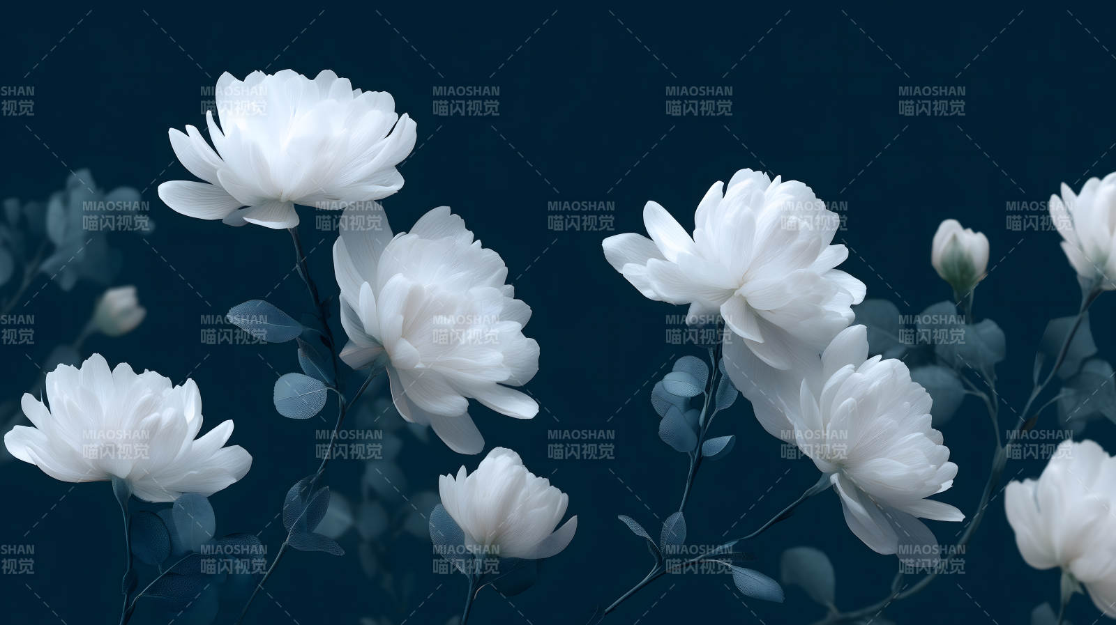 白色花朵深蓝色背景图片