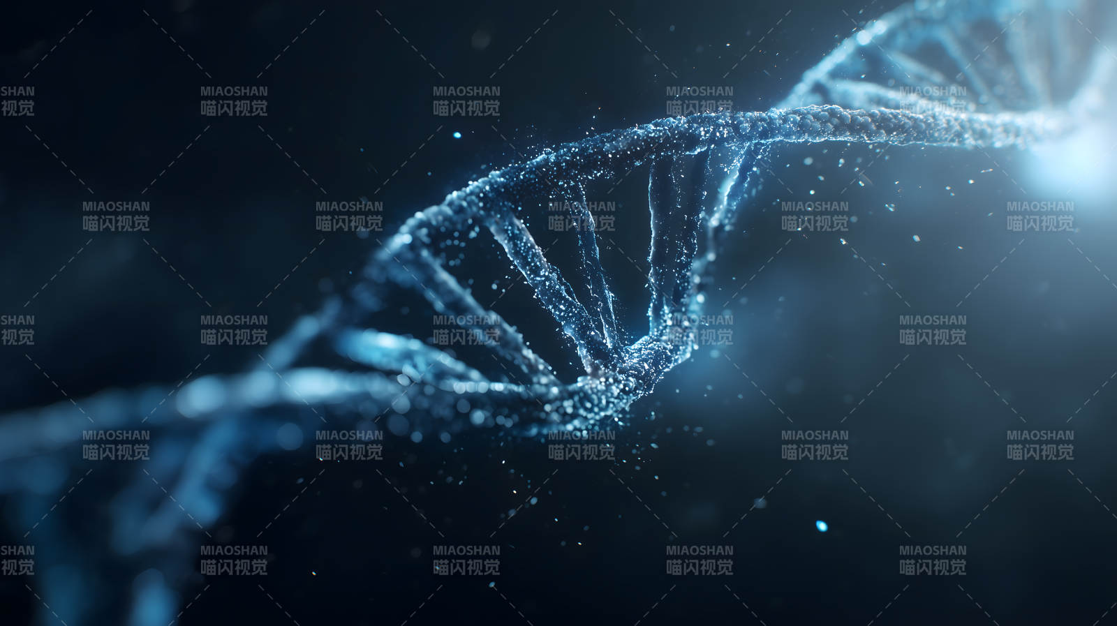DNA螺旋结构特写图片