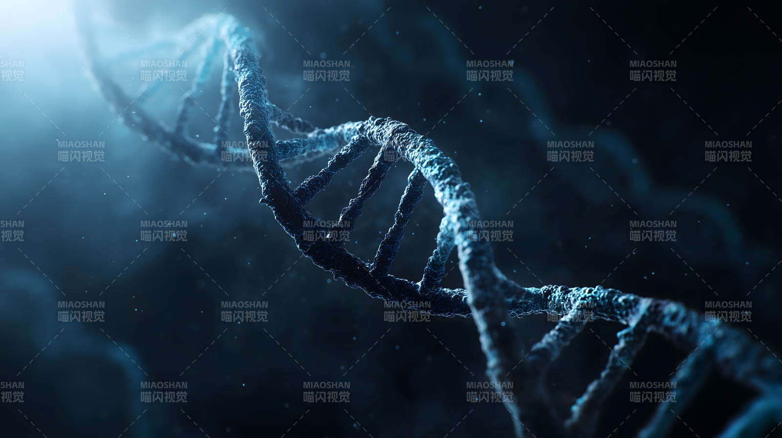 DNA双螺旋结构图片