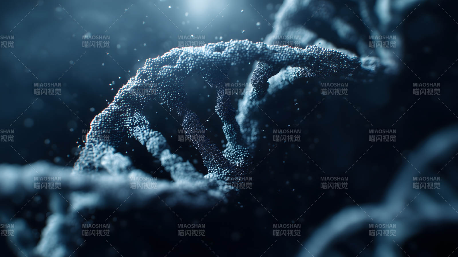 DNA螺旋结构特写图片