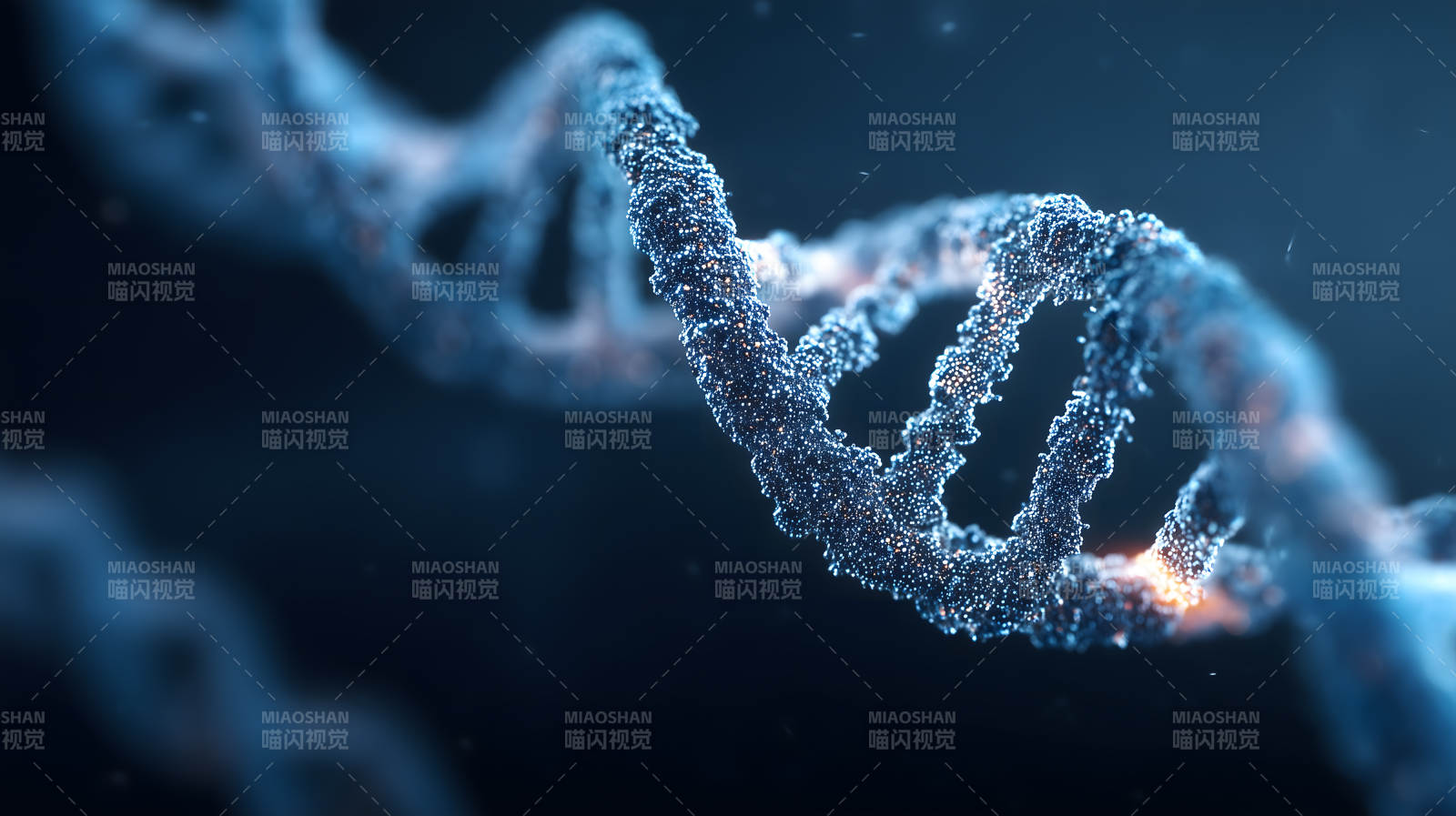 DNA分子结构特写图片