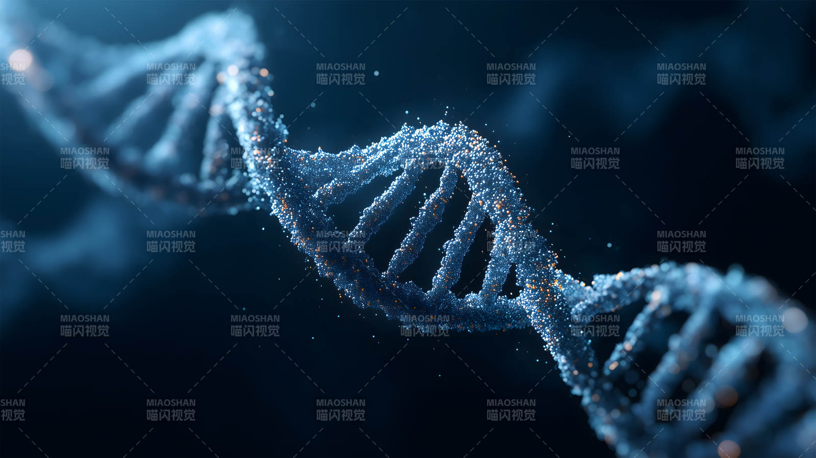 DNA螺旋结构特写图片