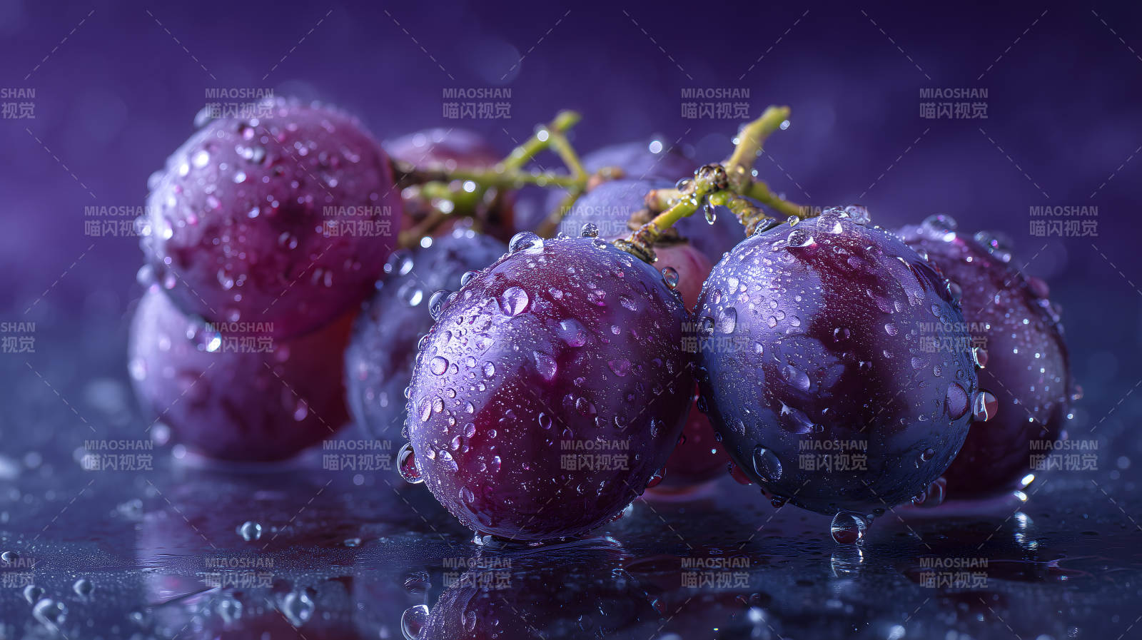 紫葡萄特写晶莹剔透图片