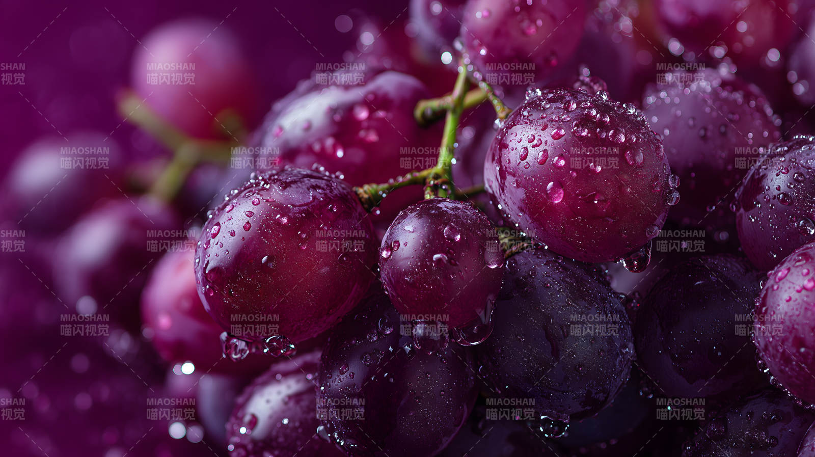 葡萄特写水珠晶莹剔透图片