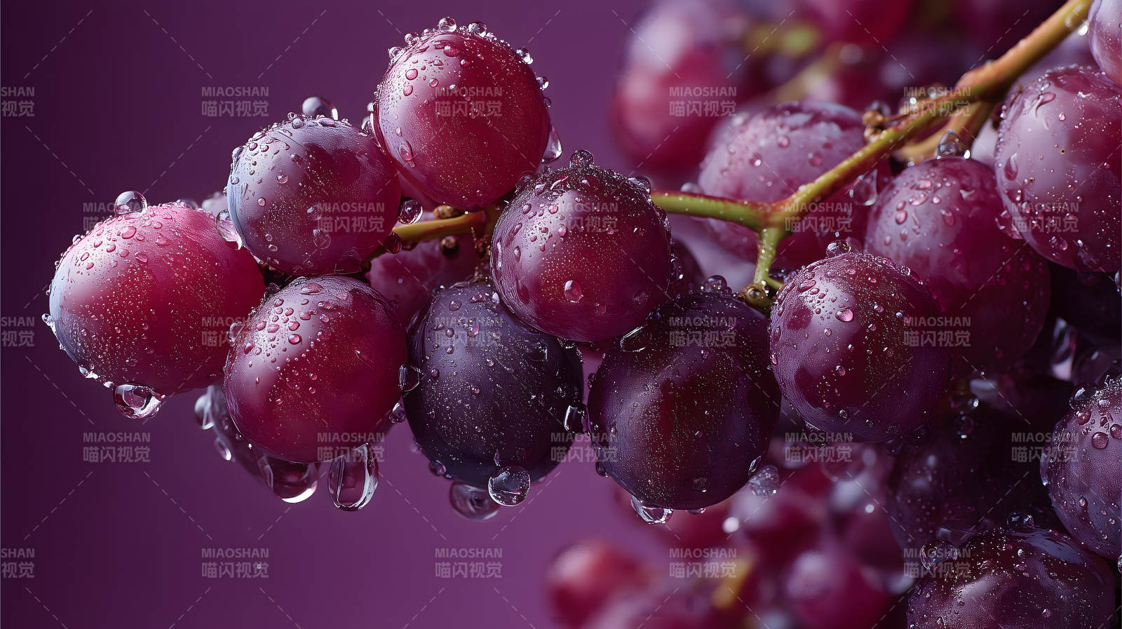 晶莹剔透的紫葡萄图片