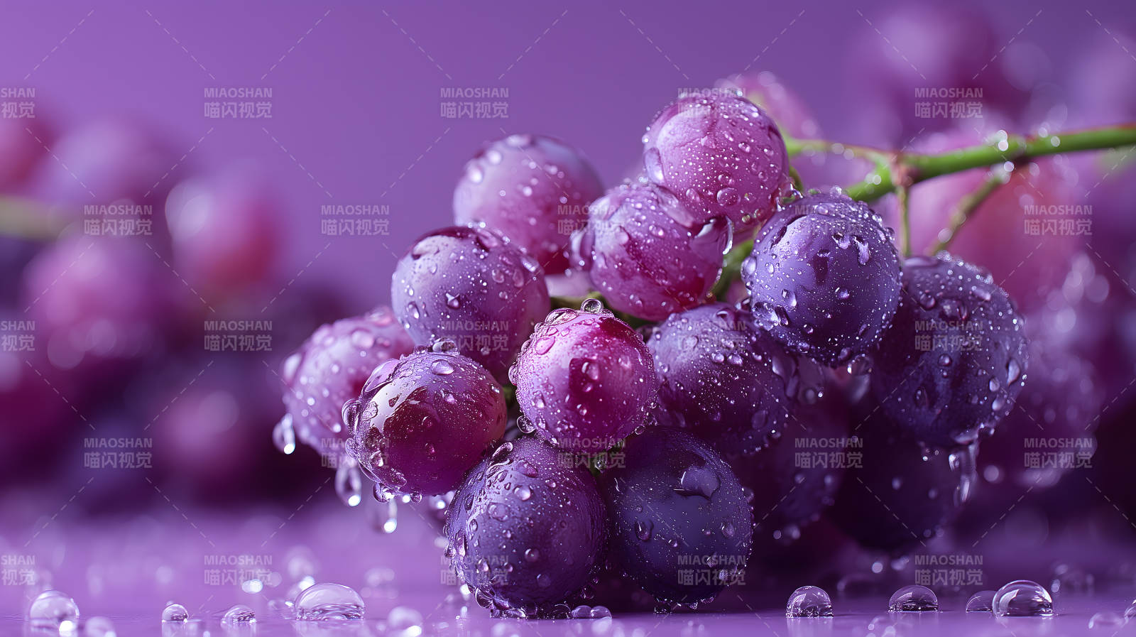 紫葡萄水珠特写图片