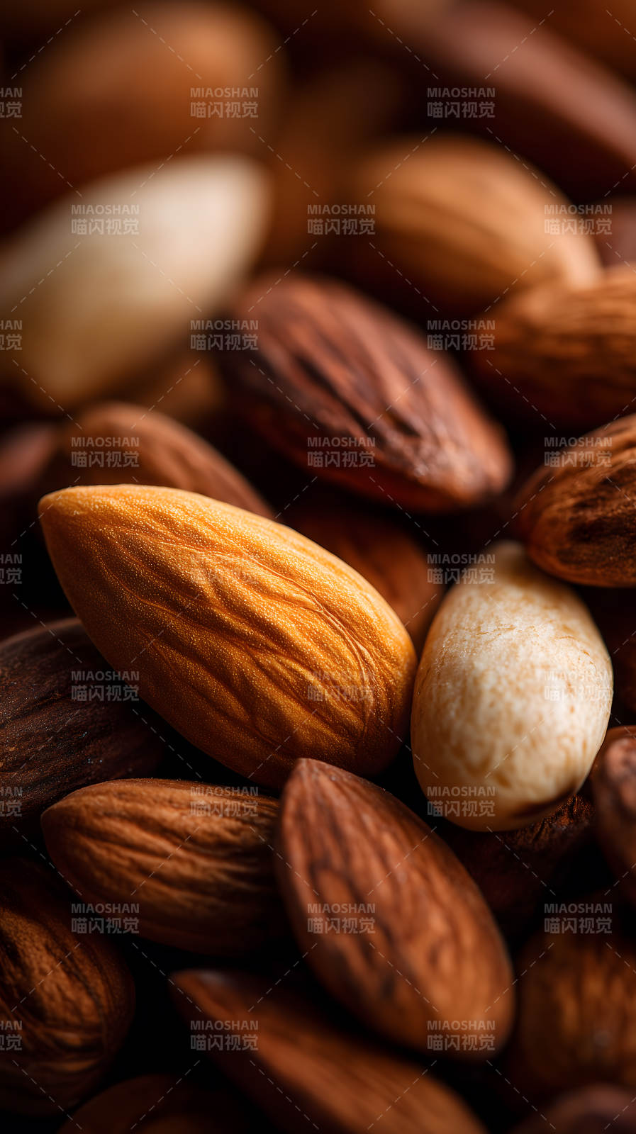 杏仁特写质感十足图片