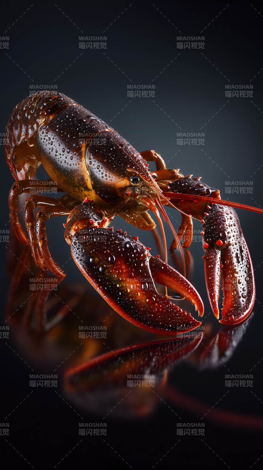 水滴龙虾特写美食图片