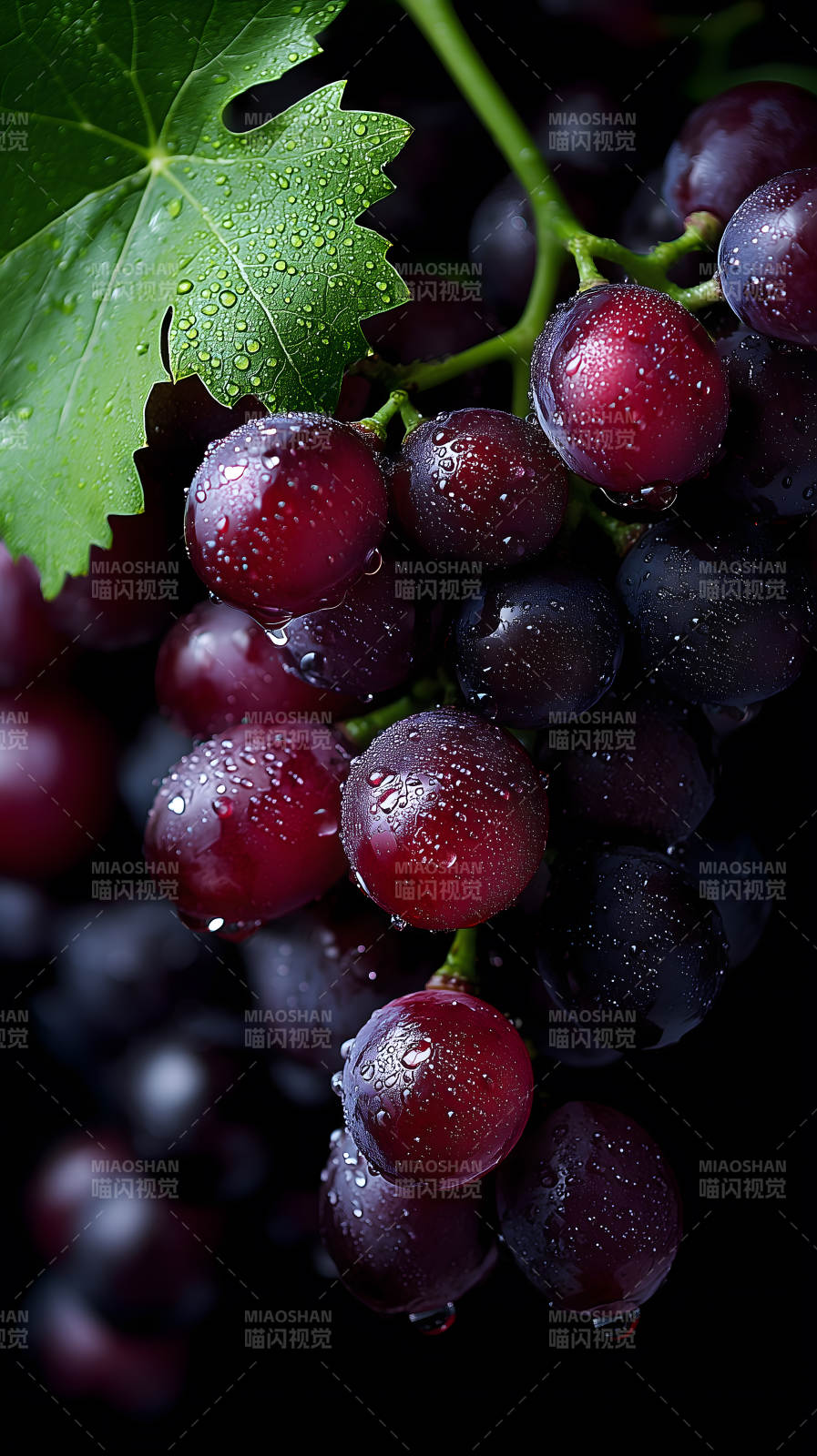 红葡萄特写晶莹剔透图片