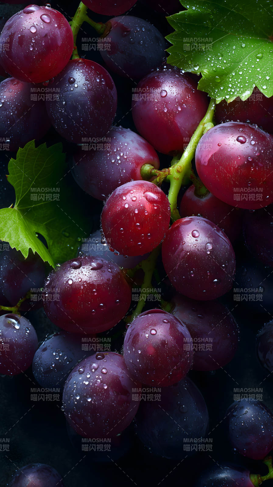 红润多汁的葡萄特写图片