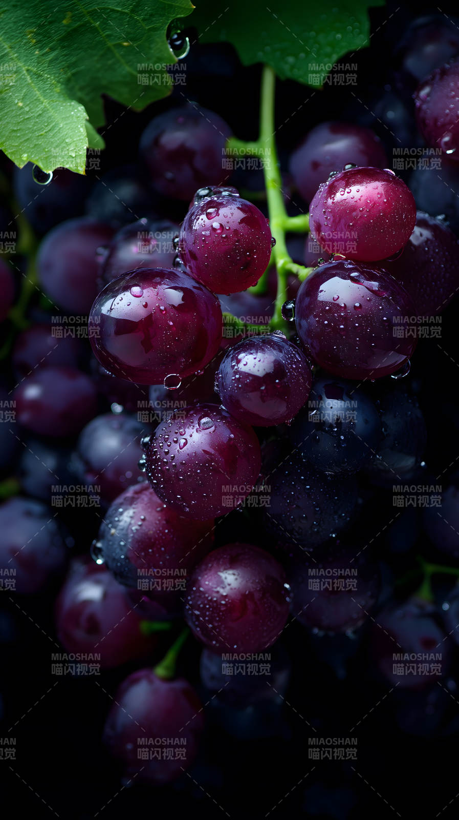 湿润葡萄特写图片