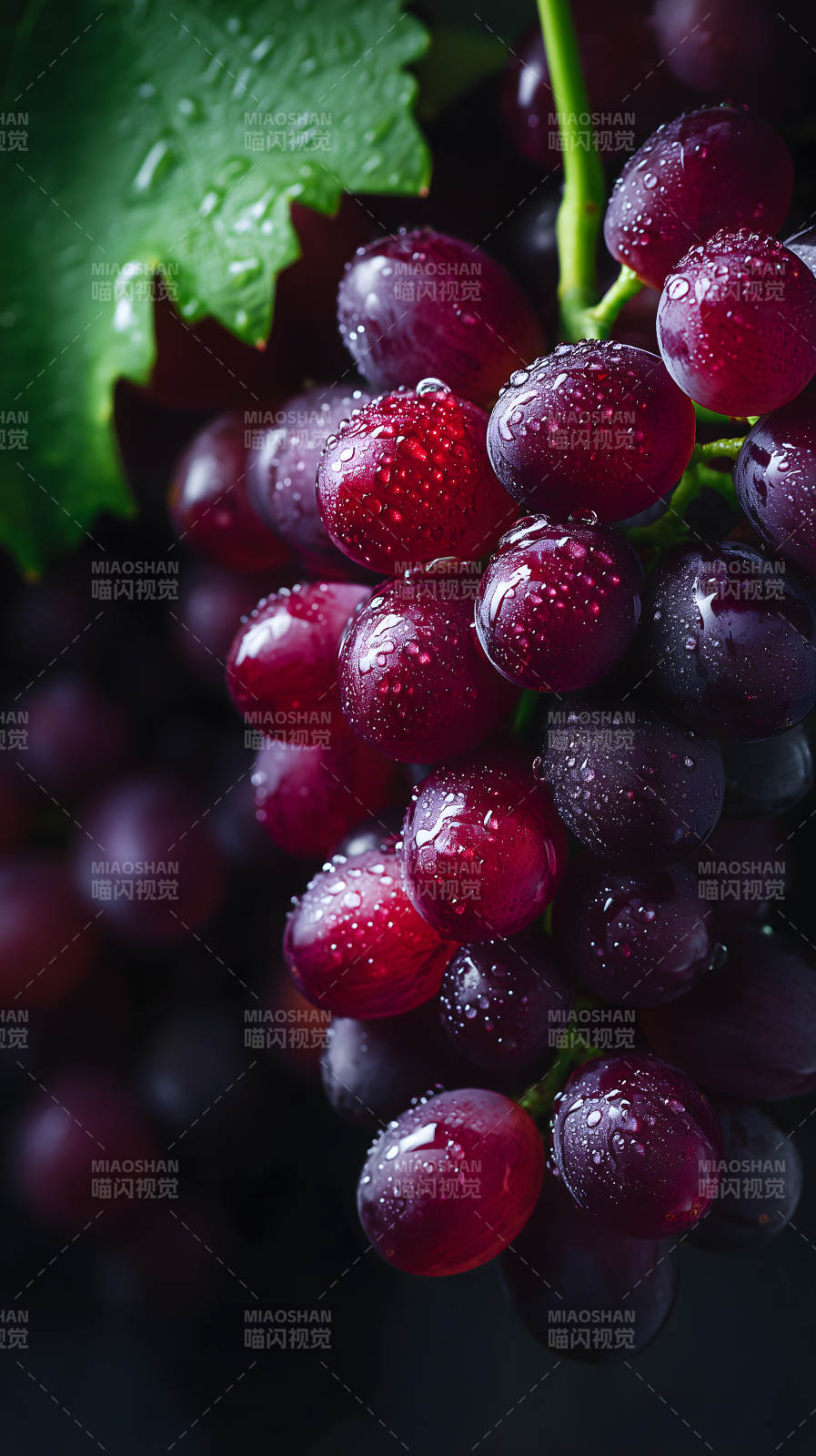 红润多汁的葡萄特写图片
