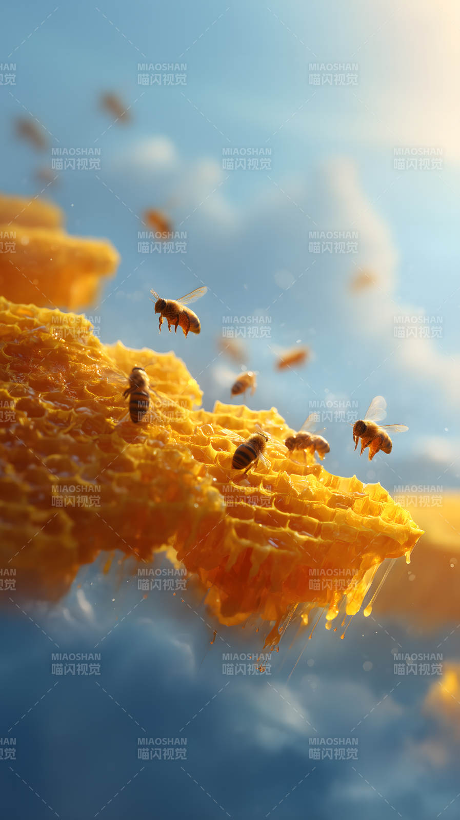 蜂巢与蜜蜂的天空景象图片